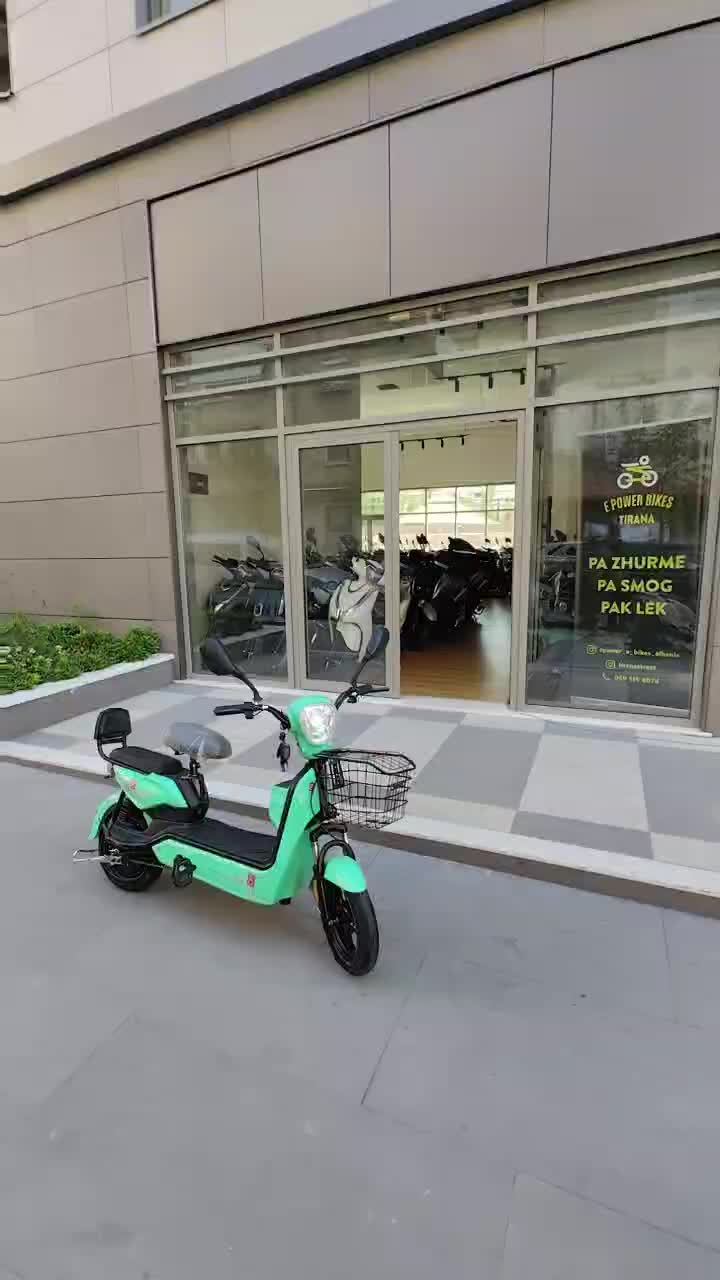Bateria plumb-acid mund të hiqet për karikim! 350W Motor