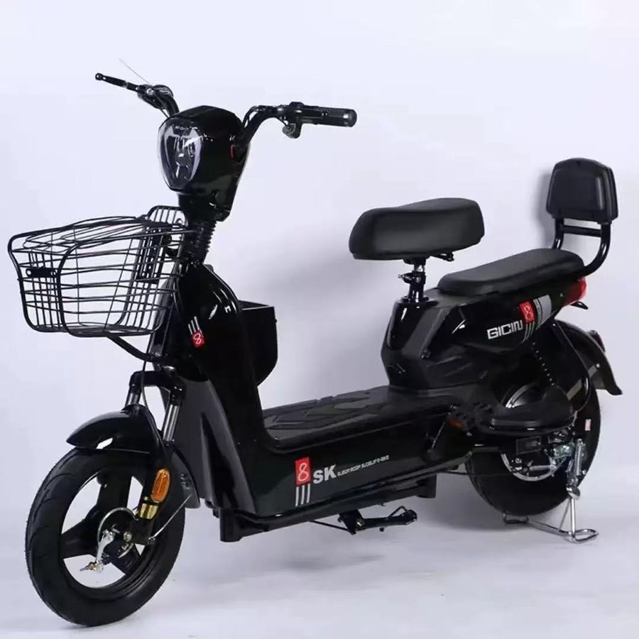 Bateria plumb-acid mund të hiqet për karikim! 350W Motor